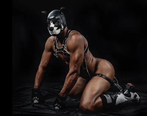 @doggoraeko