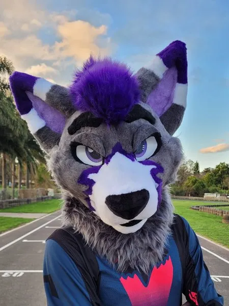 @drifterthewolf