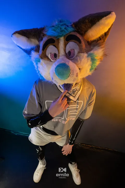 @droolycorgi