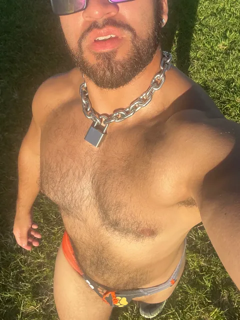 @eltigrevixor