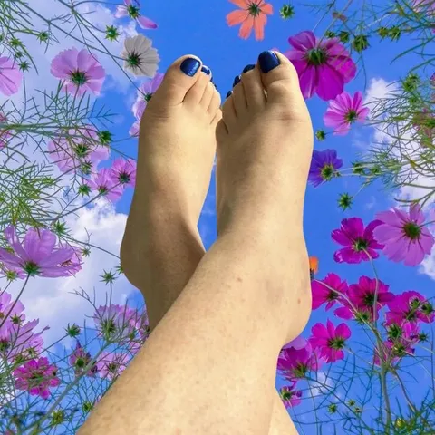 @felicia.feet