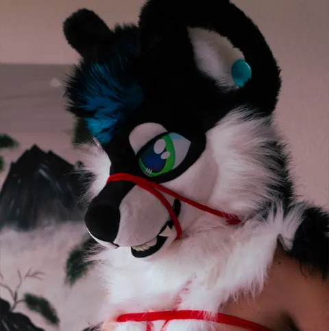 @flirtyhusky