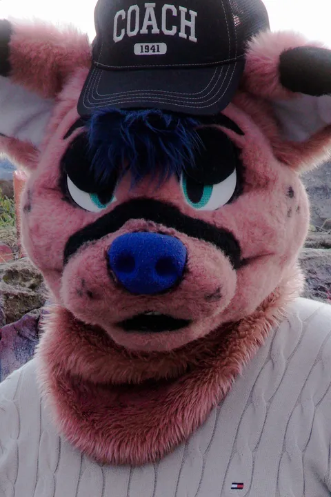 @fluffyhorndogg