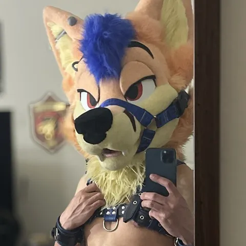 @foxxxandthehound