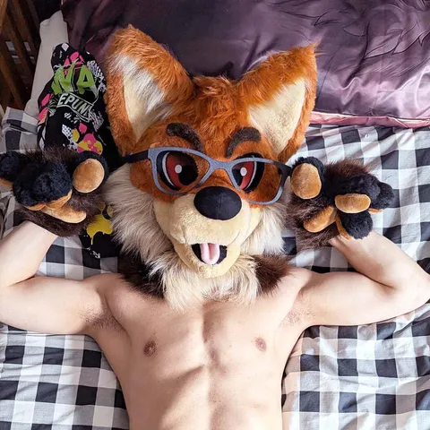 @foxyshiroad