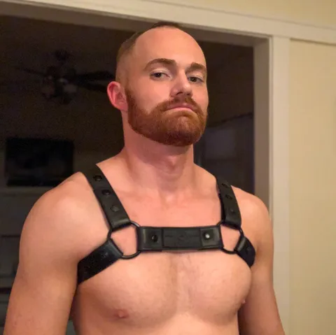 @gingersnap3x