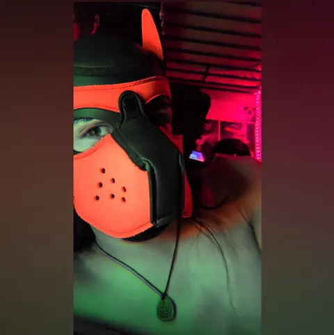 @good_boi_flynn
