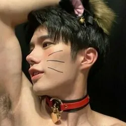 @haikichi_jp