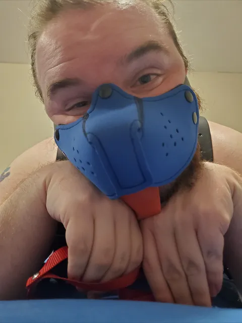 @harrisonrabbit