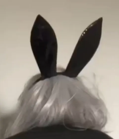 @kittencore69