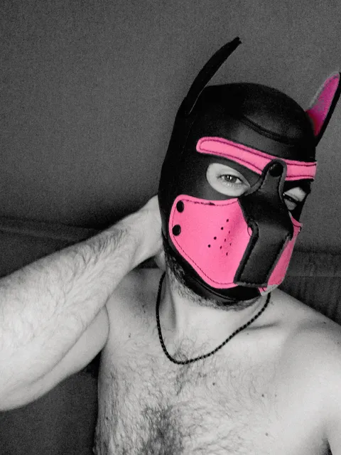 @lechienrose