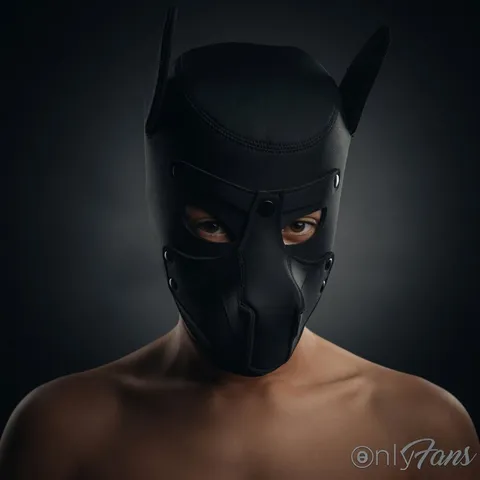 @lobonegrobw