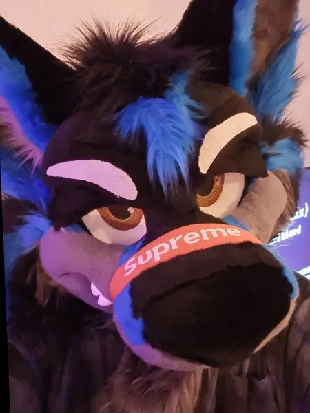 @loomywoof