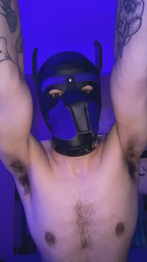 @luciferpup1