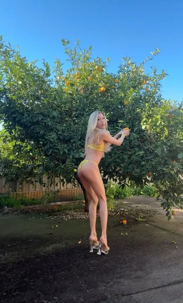 @lunavixendoll