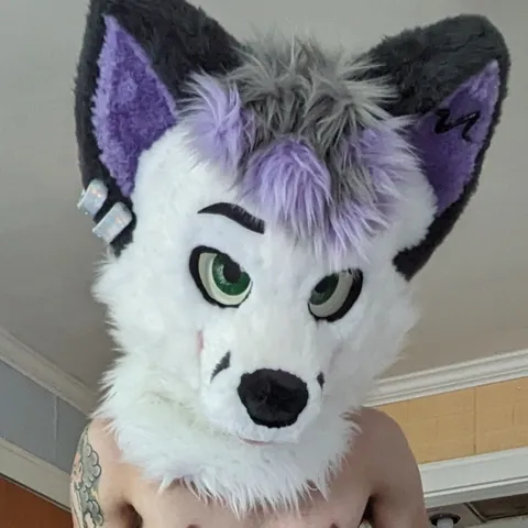@maxifaxii