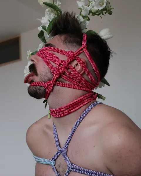 @mayeubaise