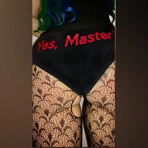 @metalgearkitten_free