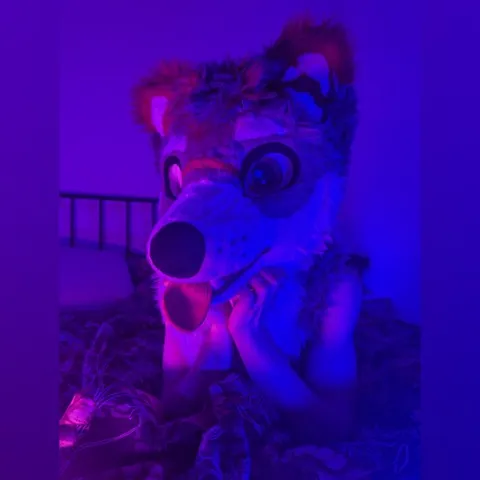 @miloblackstar