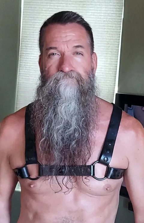 @mrwhiskersphx