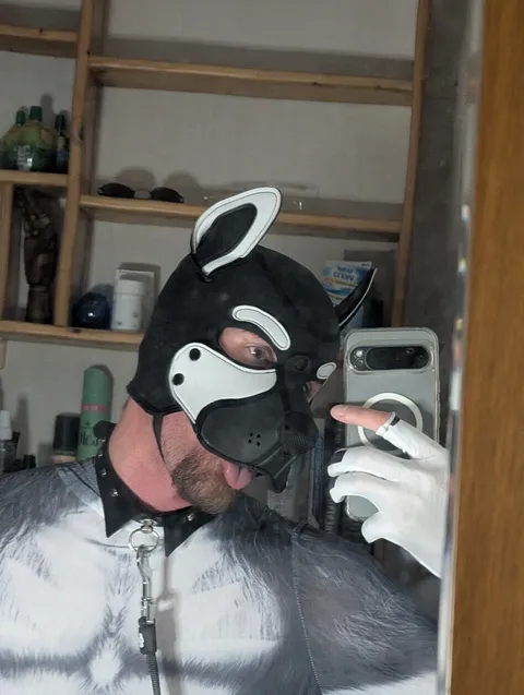 @murko_pup