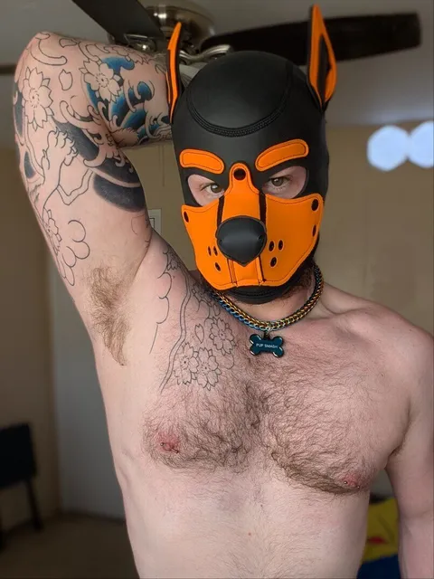 @omegapupsmash