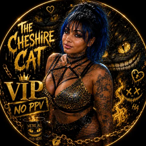 @only_kitty_vip