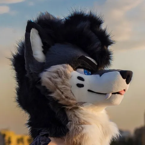 @palacewolf