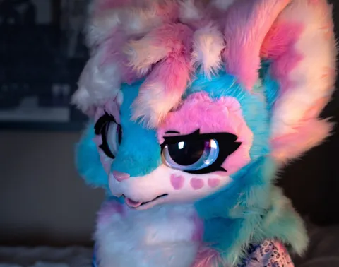 @pawki