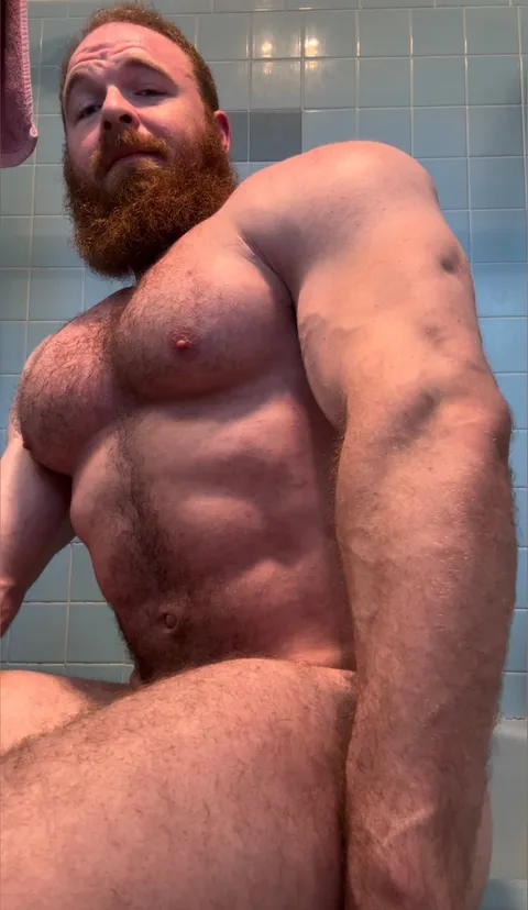 @pec_inspector