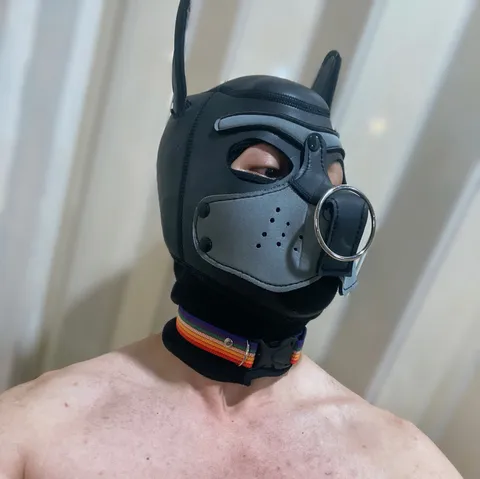 @peterpuppy