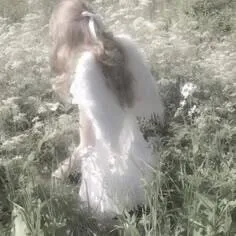 @picassonoel
