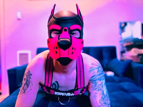 @pocketsubpup