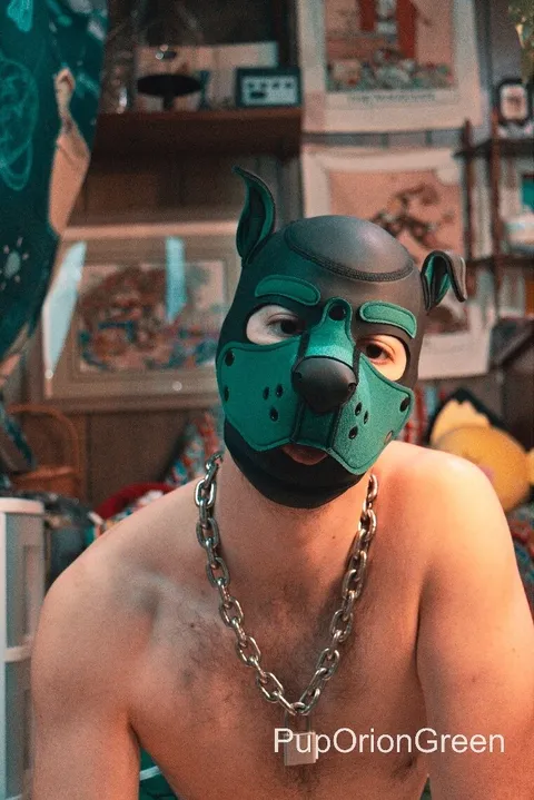 @pup-orion-green