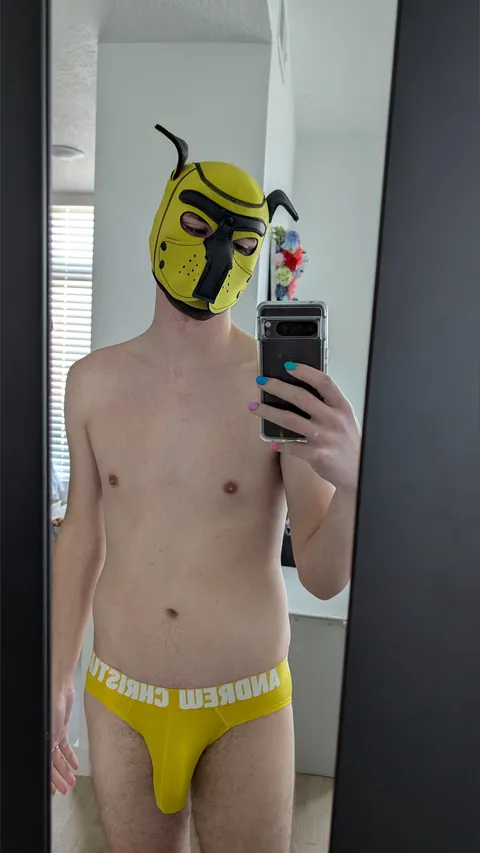 @pup.crown