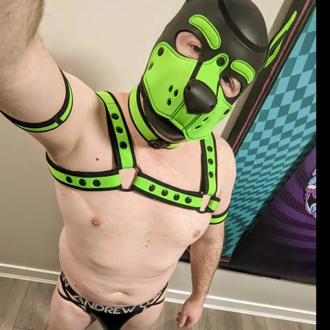 @pup_spot