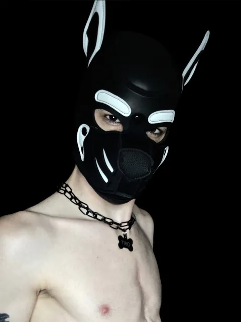 @pup_tiro