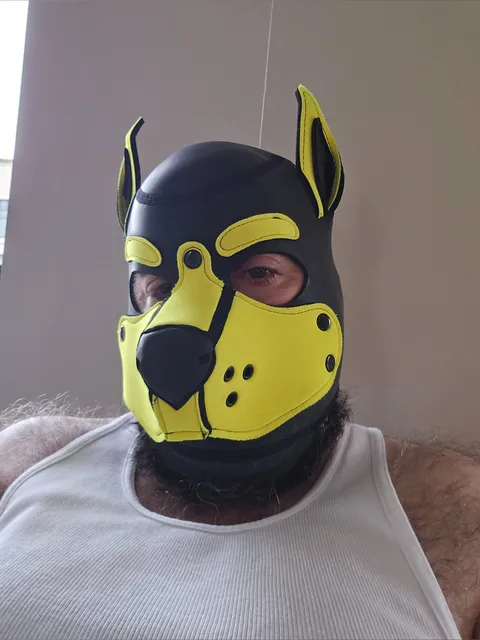 @pupgeno