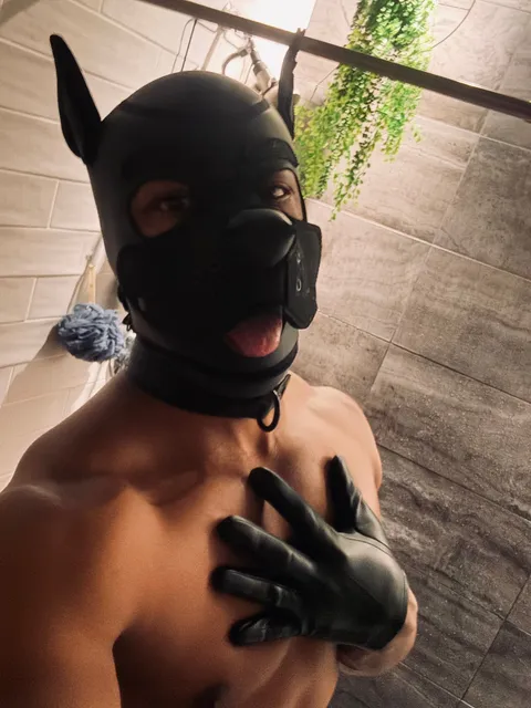 @pupjynx2024