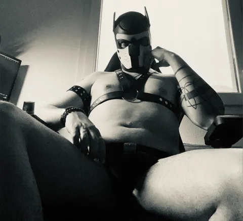 @puppyed