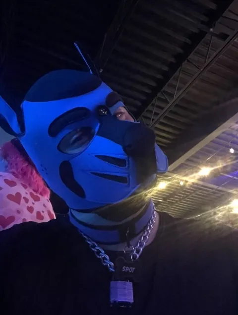 @pupspot1