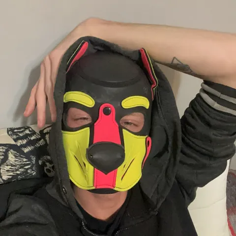 @pupsyber