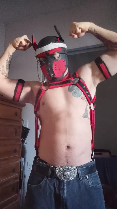 @red_pup_wolf015