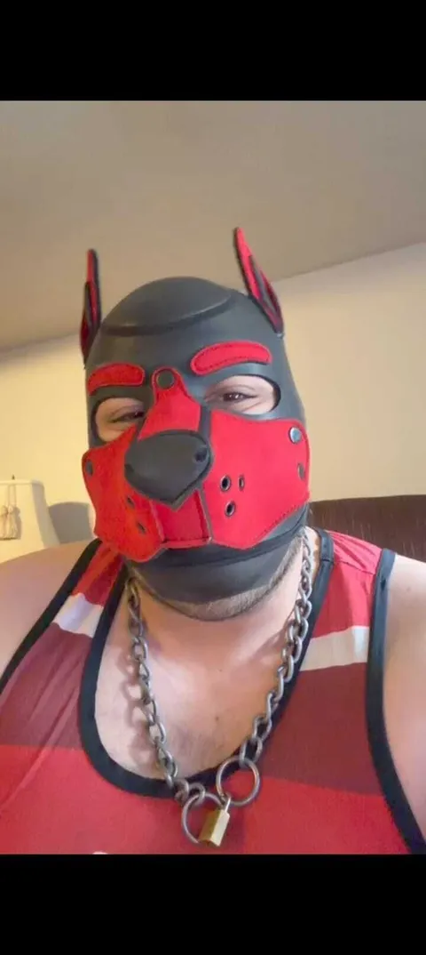 @riccotukiiwolf