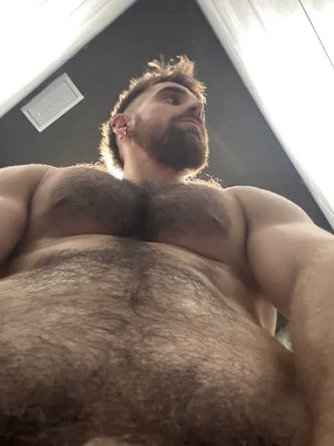 @roronoa496