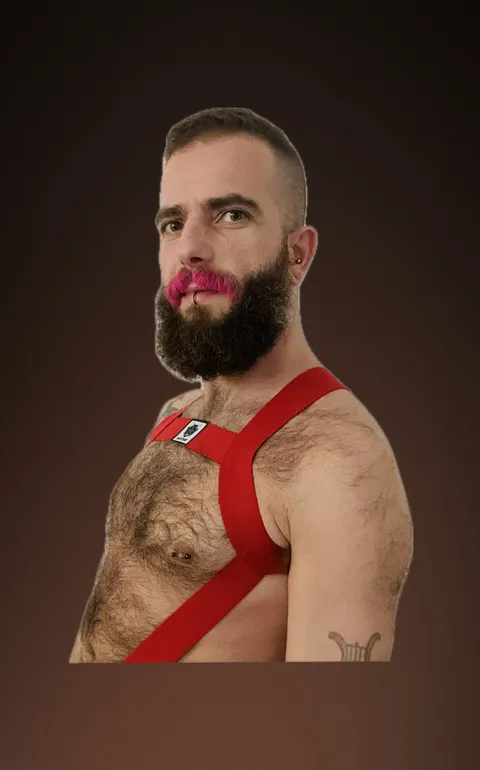 @sandrofaust