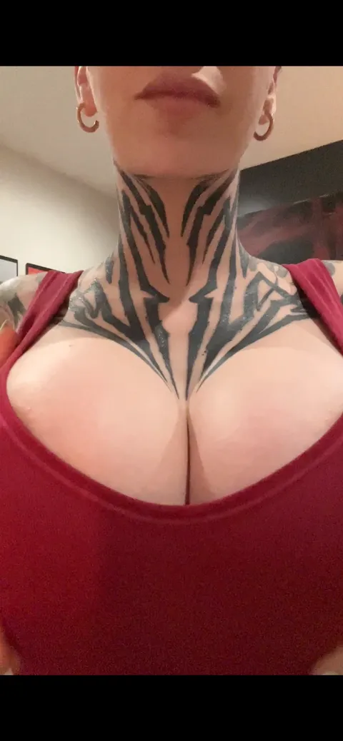 @shelbylovesit