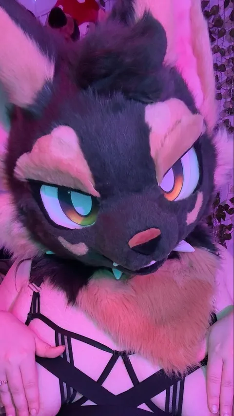 @sillypupx