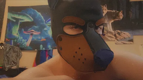 @sinfulpuppyad