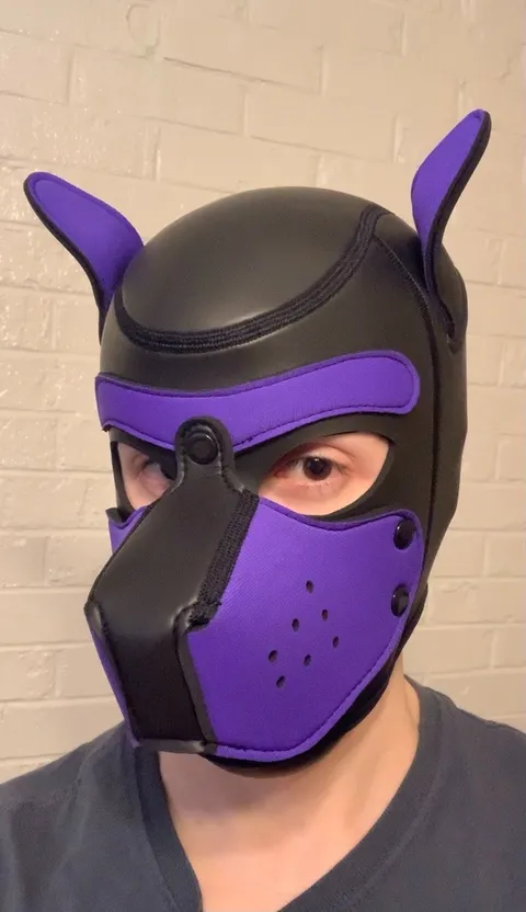 @slave_pup_toby